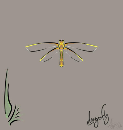 dragonFLY - dragonfly tattoo