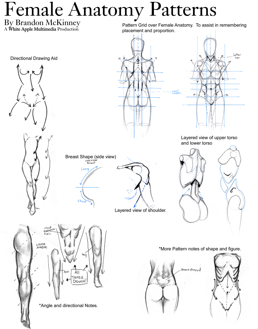 Female_Anatomy_Patterns_by_Snigom.jpg