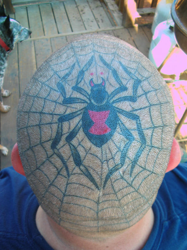 Spider Web Tattoo by PapaTod