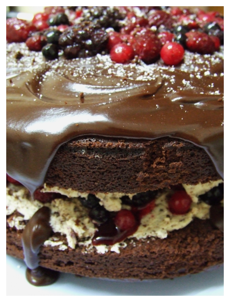 Chocolate_Berry_Mud_Cake_by_RainbowsandD