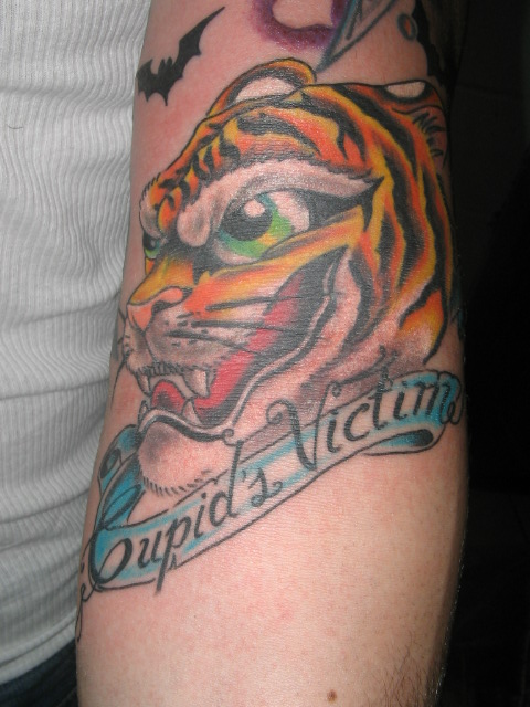 3d tiger tattoo designs tattoo catalog tattoo fee small star tattoos skull tattoo flash sleeve