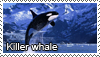 Orca_stamp_1_by_Tollerka.png
