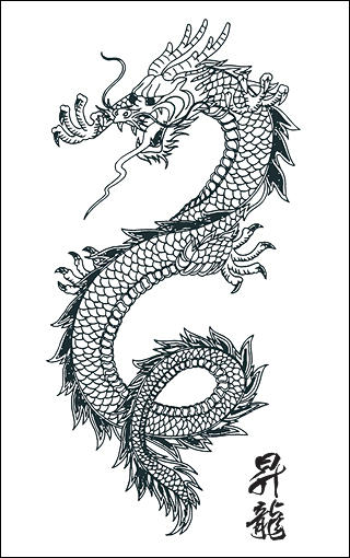 Japanese Dragon Vector Art by SamuraiAgency on deviantART