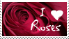 Rose_STAMP_by_pofezional.gif