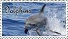 Dolphins_stamp_by_Tollerka.png