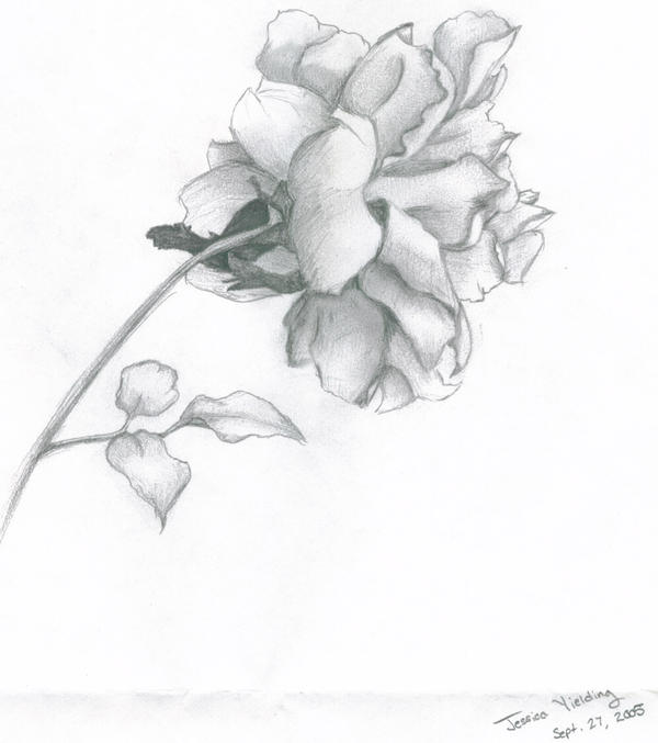 Flower drawing by amareDio on deviantART