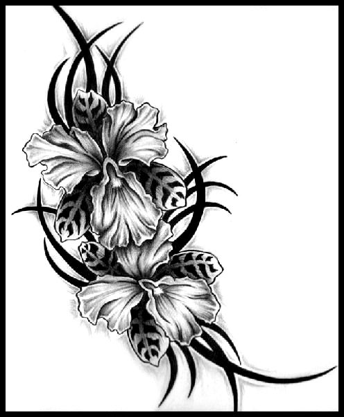 Tattoo Orchids by darkangels280 on deviantART
