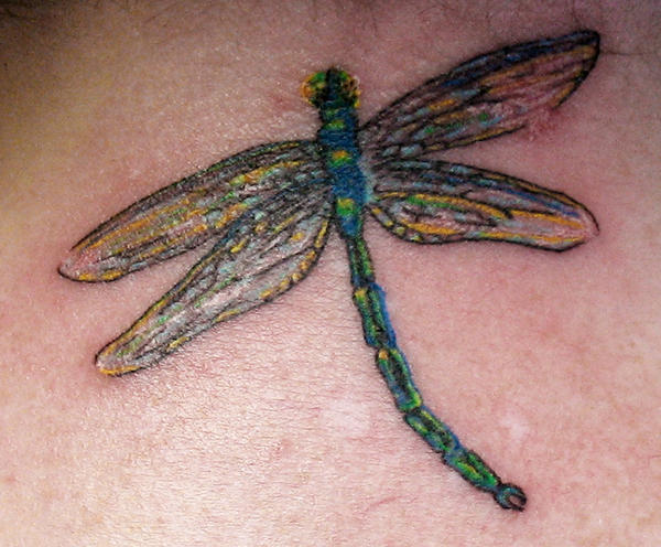 Tiny Dragonfly - dragonfly tattoo