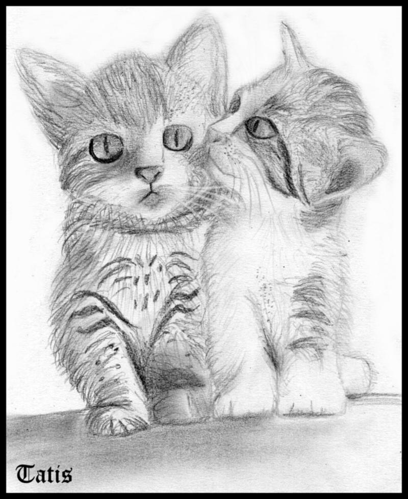 Gatos tiernos para dibujar a lapiz - Imagui