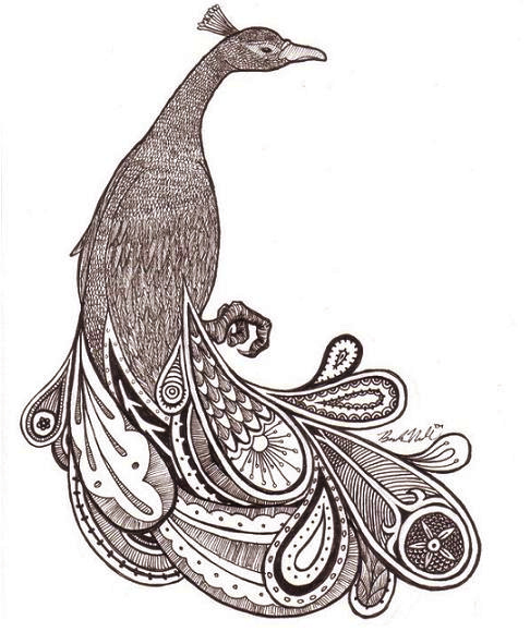 paisley peacock coloring pages - photo #31
