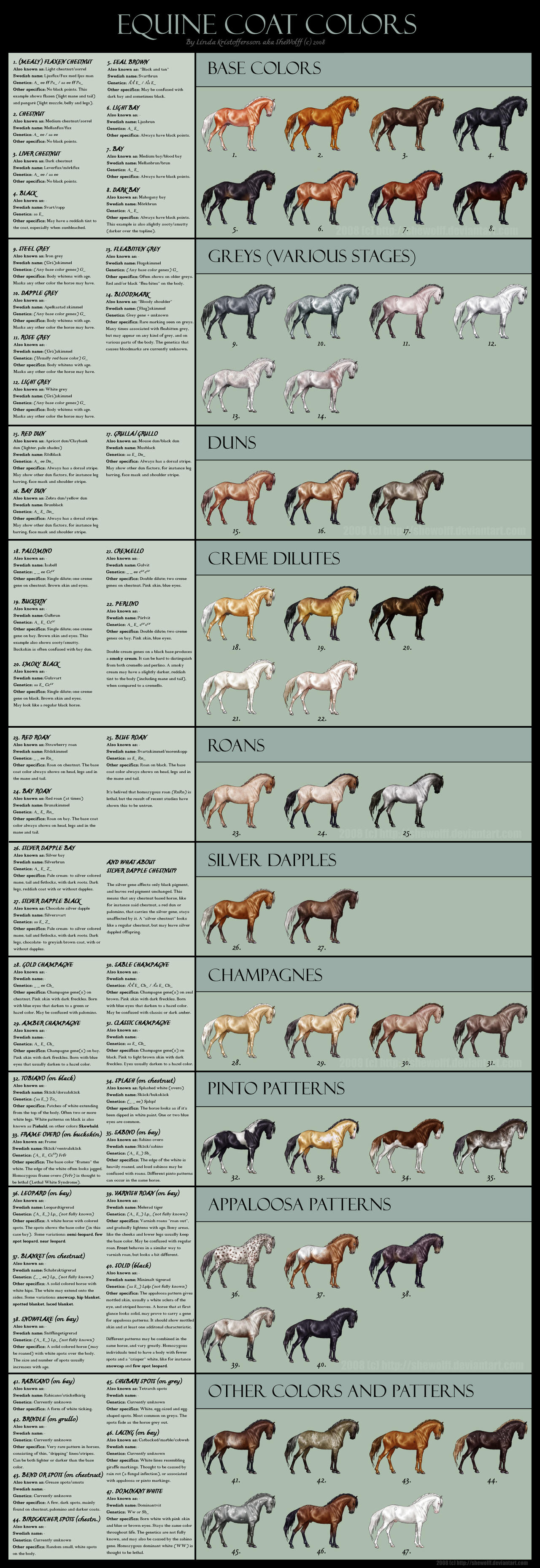Chestnut Horse Color Chart