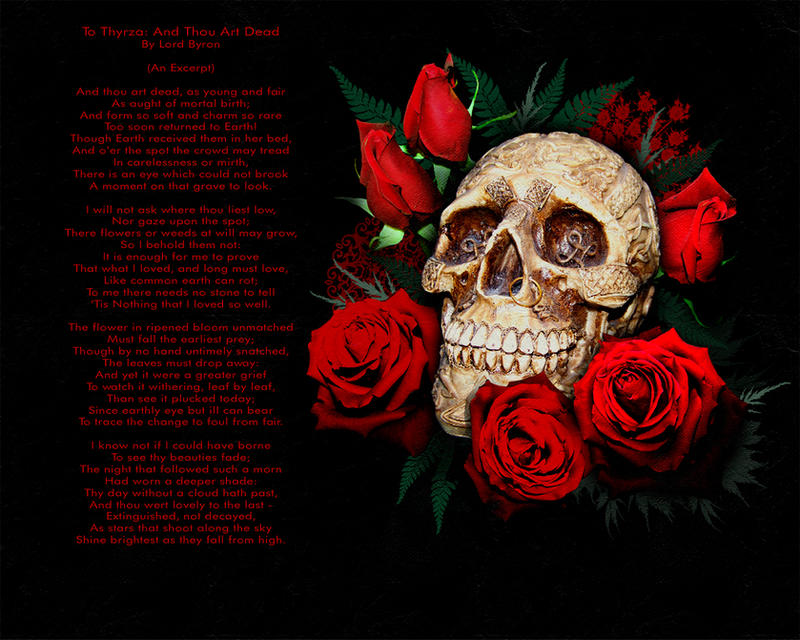 roses wallpaper. Skull and Red Roses wallpaper