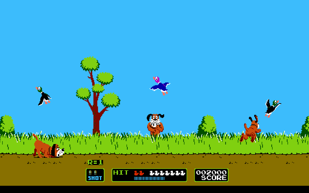 Duck hunt game cover