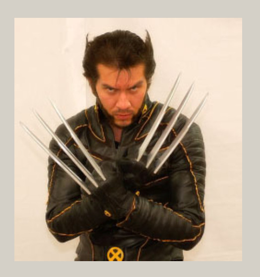 Wolverine Cosplay - Picture