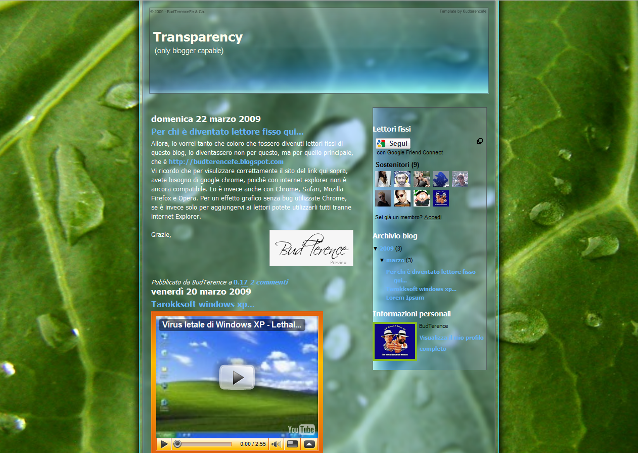 Transparency Template