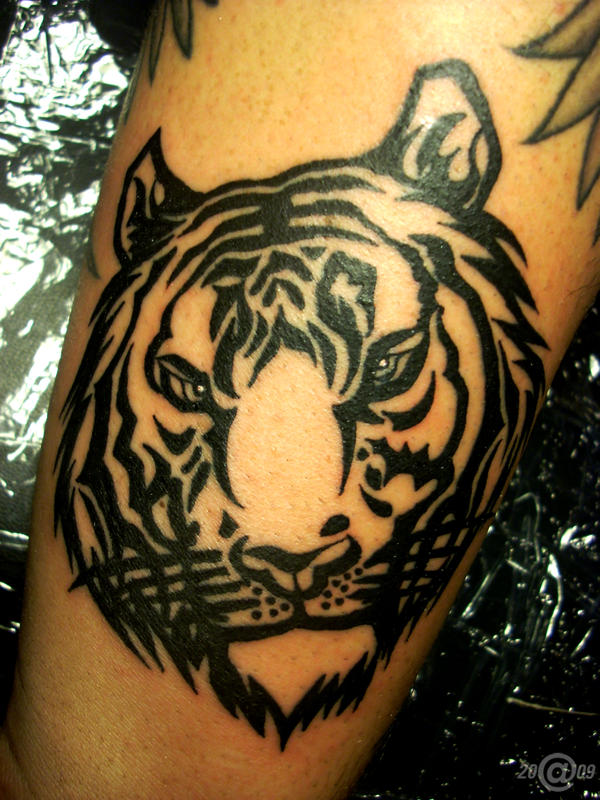 borneo tiger tattoo by arty147 on deviantART