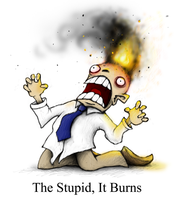 The Stupid, It Burns by Plognark