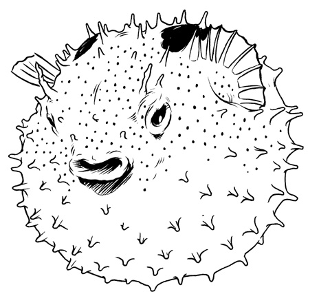 ocean puffer fish coloring pages free - photo #33