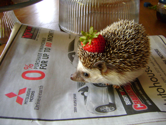 Strawberry_Hat_by_ionshu.jpg