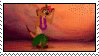 Timon___Hula_by_Cathines_Stamps.gif