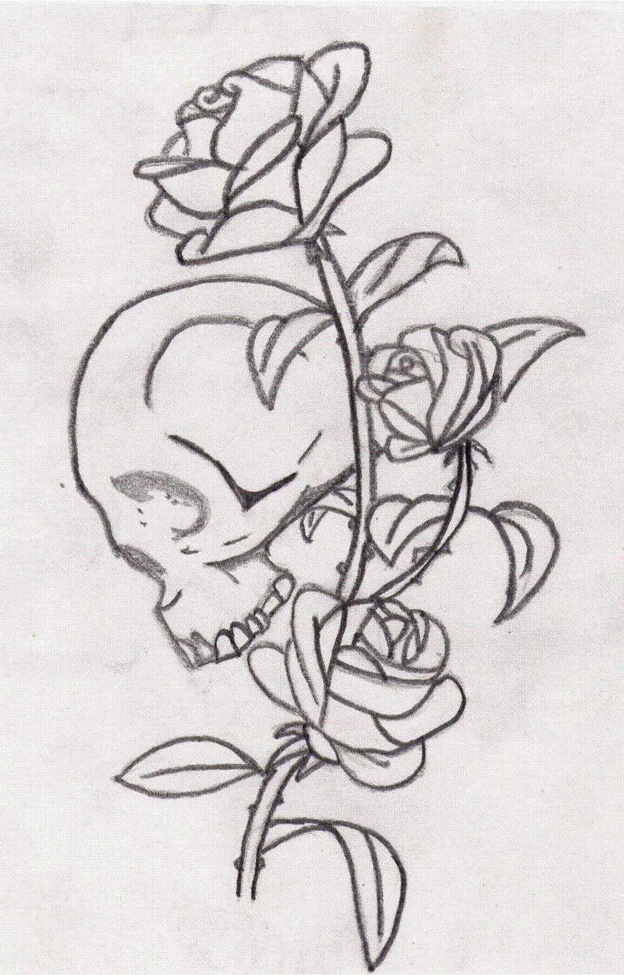 Skull Rose By Candy King On