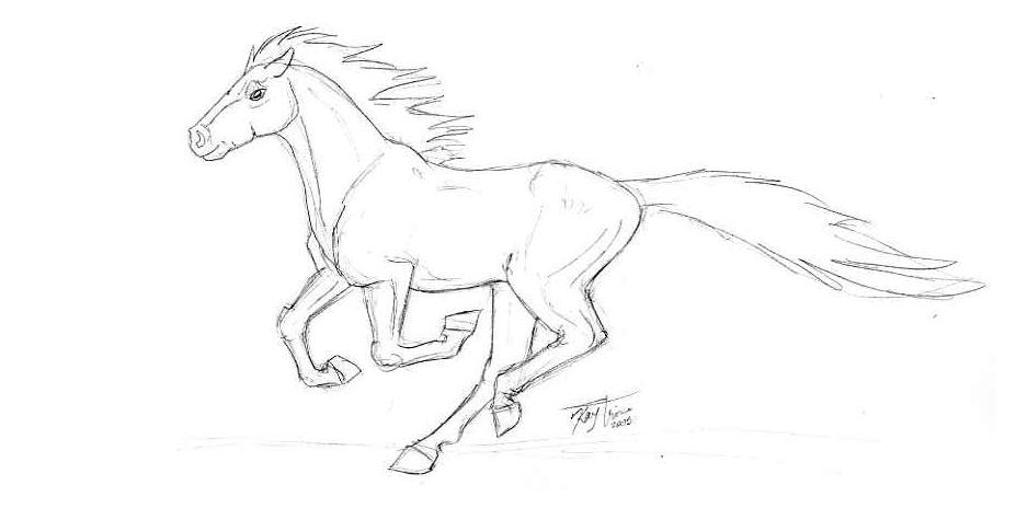 galloping horse coloring pages - photo #23