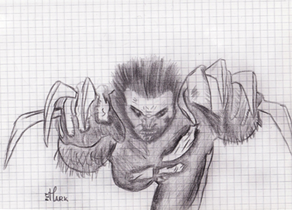 Wolverine_Fury_by_MarkFly