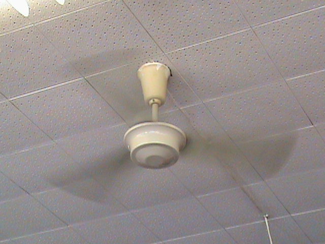 Spinning Moss ceiling fan by baul104 on DeviantArt