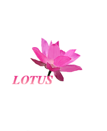 Lotus drawing by paperpencilart on deviantART