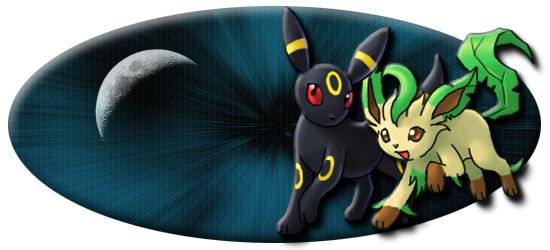 banner_pokemon_leafeon_umbreon_by_broh0-d2z8sjd.png