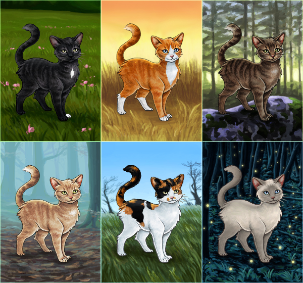 http://fc06.deviantart.net/fs70/f/2012/031/4/4/warrior_cats___buildable_avatar_series_by_wynnyelle-d4o6uv3.jpg