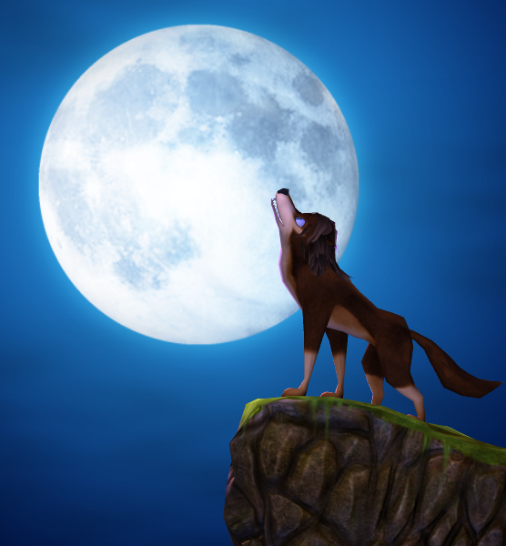 wolf_and_the_moon_by_bosman697-d4qefl7.png