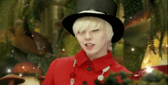 g_dragon_butterfly_gif_by_coloursofthera