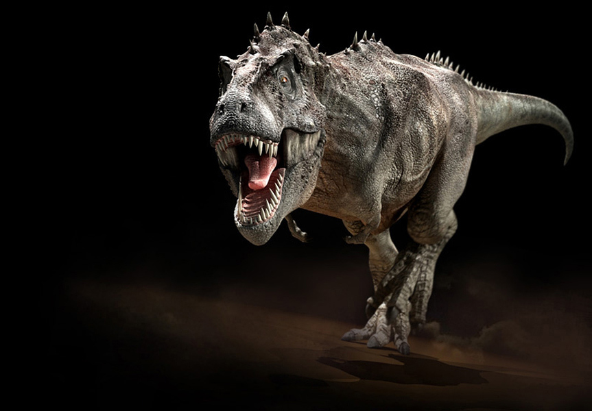 Tyrannosaurus rex_1 by Swordlord3d