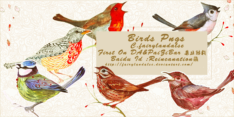 Bird Png3 by Fairylandalse