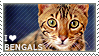 i_love_bengals_by_wishmasteralchemist-d15x0p5.png