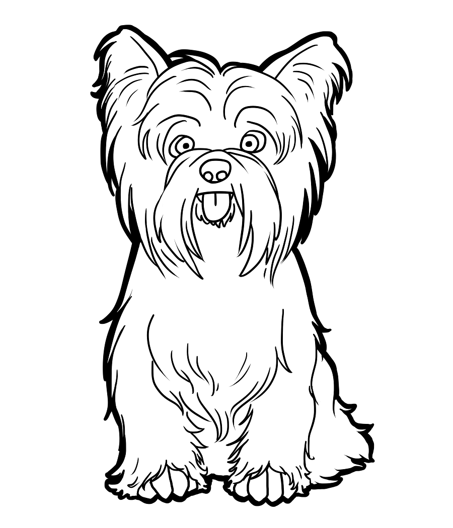 yorkie printable coloring pages - photo #7