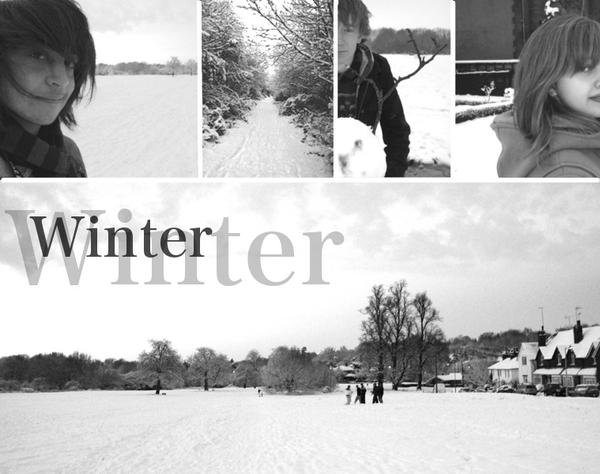 Winter_by_danlikestrees.jpg