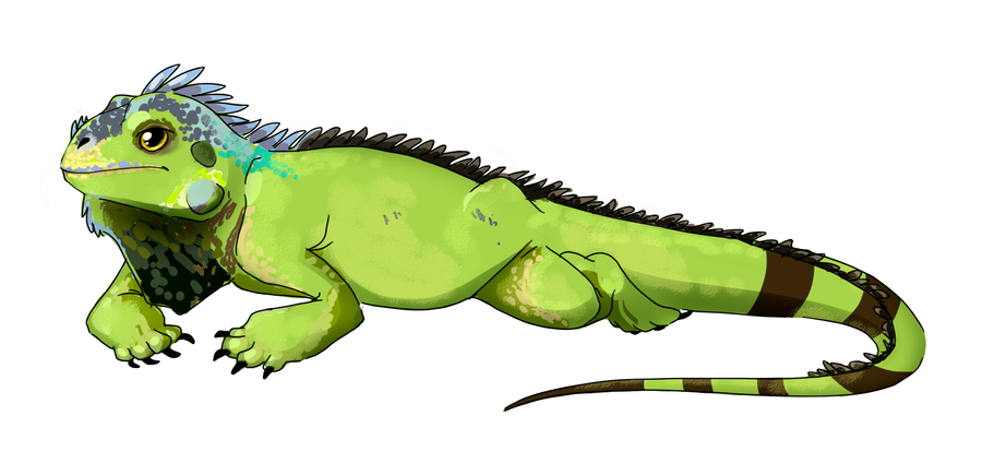 animated iguana clipart - photo #43