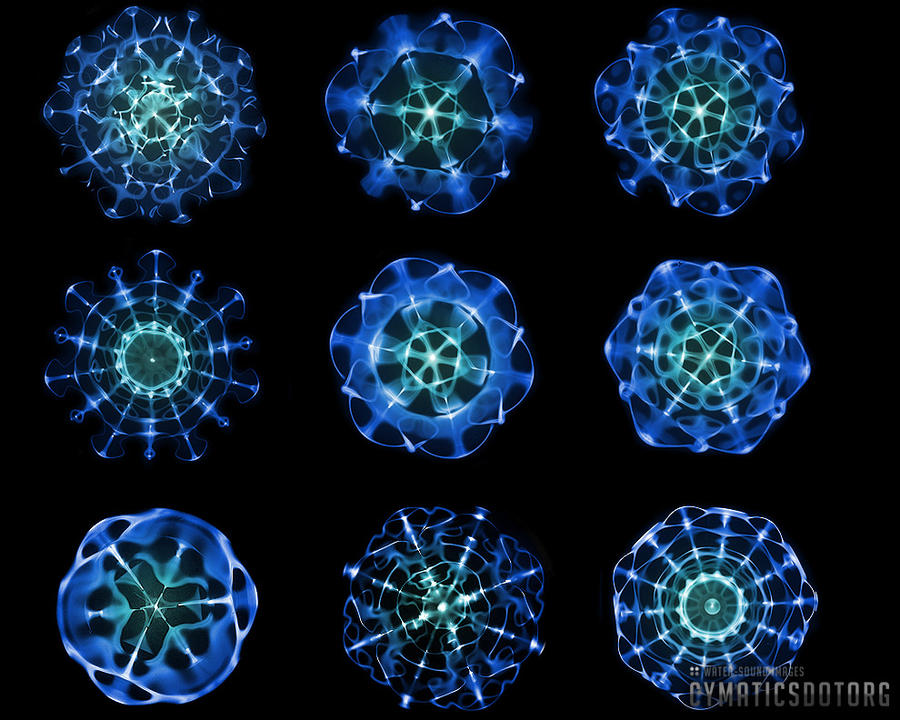 http://fc06.deviantart.net/fs70/i/2011/134/b/5/12hz__20hz_range_cymatics_by_sixteenhertz-d3gdddx.jpg
