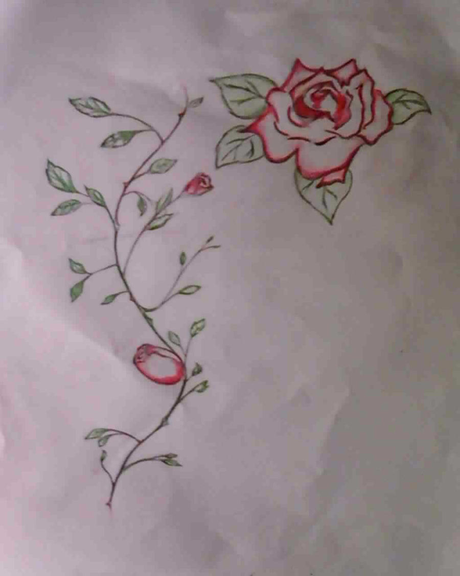 rose tattoo sketch by