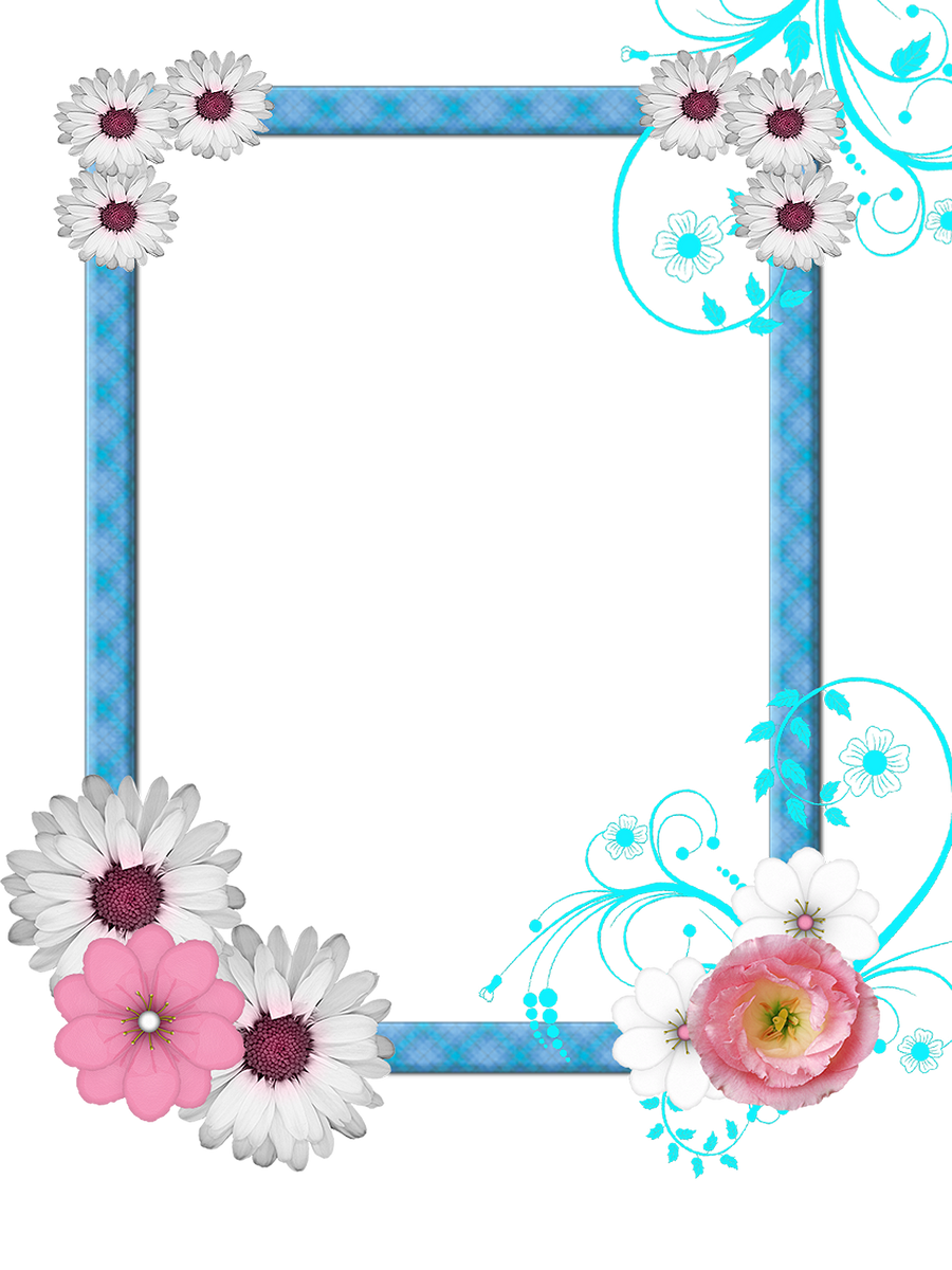 png clipart frame - photo #29