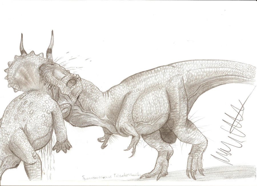Dino Duels: Tyrannosaurus vs Triceratops by Teratophoneus