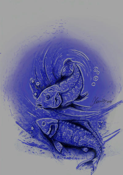 Koi fish sketch by IlariaGioli on deviantART