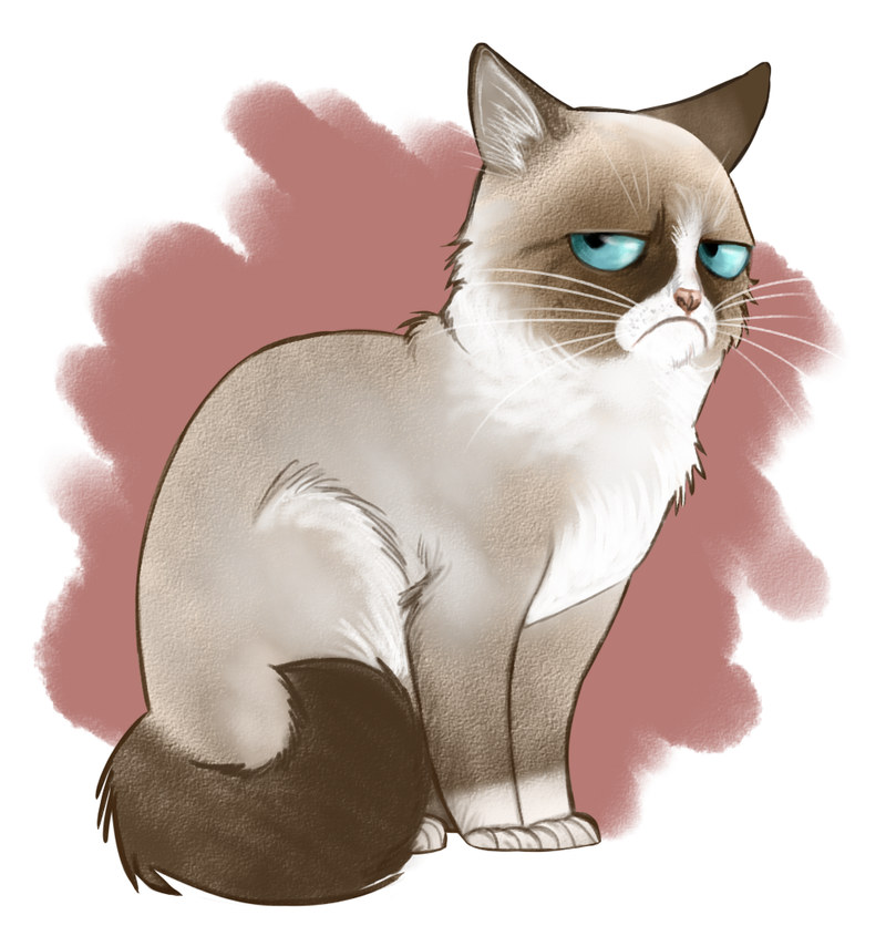 Grumpy cat by Adlynh on DeviantArt