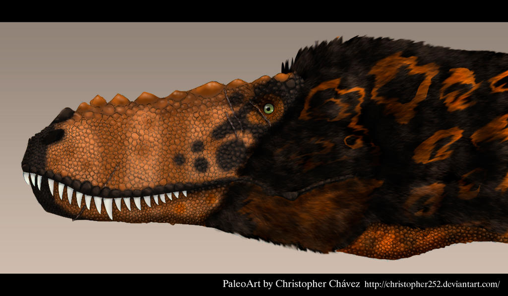 Alioramus by Christopher252