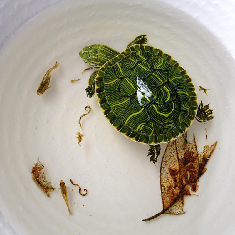 Peinture d'une tortue en 3D technique de l'artiste japonais