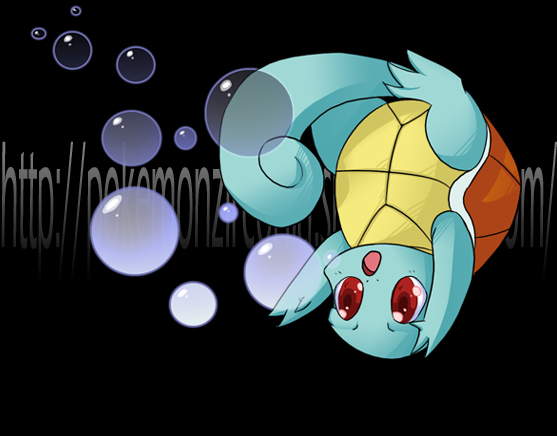 Squirtle_by_NewYorkDefenderTalon