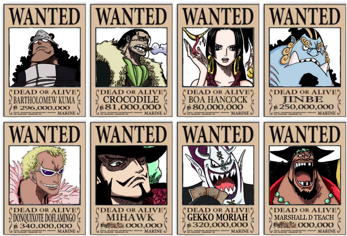 One Piece: Shichibukai - Photo Colection