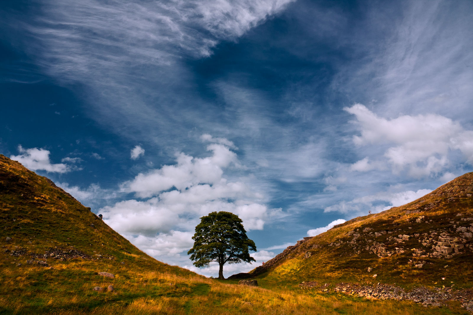 sycamore_gap_by_newcastlemale-d4oijxl.jpg